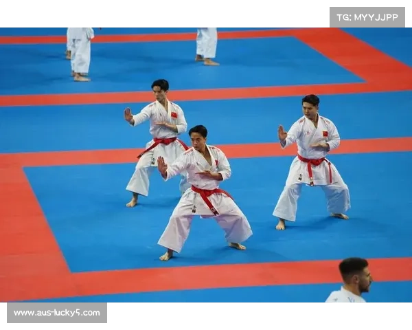 以空手道国际交流促进技术创新与理念融合推动武道文化共同发展